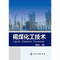 褐煤化工技术 褐煤化工技术&nbsp