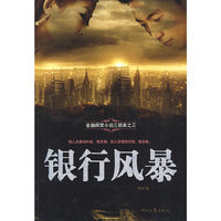 金融探索小说三部曲之三银行风暴