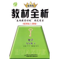 九年级化学(下)上教版金四导教材全析10春