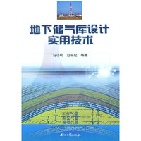 地下储气库设计实用技术