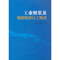 工业糖浆及糖醇能源化工概述