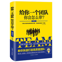 给你一个团队你会怎么带?
