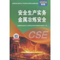 安全生产实务 金属冶炼安全（初级2025版）
