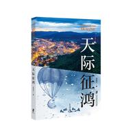 天际征鸿