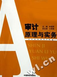 审计原理与实务