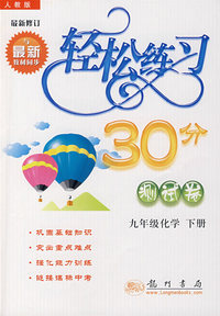 轻松练习30分测试卷：九年级化学下册（最新修订 人教版）