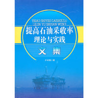 提高石油采收率理论与实践文集