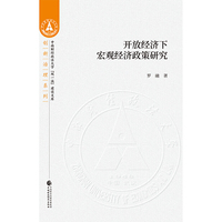 开放经济下宏观经济政策研究
