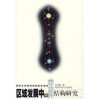 南京师范大学青年学者文丛：区域发展中的空间结构研究