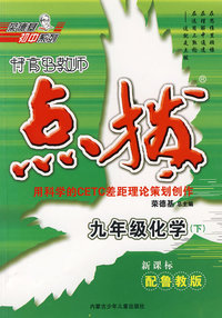 特高级教师点拨：九年级化学下（新课标配鲁教版）