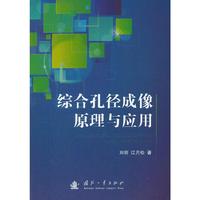 综合孔径成像原理与应用