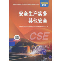 安全生产实务 其他安全（初级2025版）