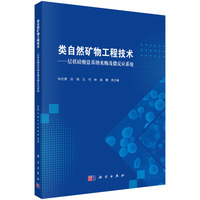 类自然矿物工程技术——层状硅酸盐基纳米酶及微反应系统9787030833556孙仕勇科学出版社