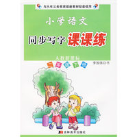 小学语文同步写字课课练：二年级下册/人教新课标