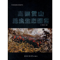 高黎贡山昆虫生态图鉴