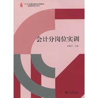 会计分岗位实训(孙振丹)