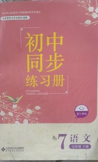 初中同步练习册七年级  语文下册