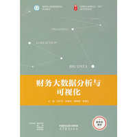 财务大数据分析与可视化