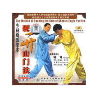 硬开山门法少林鹰派拳术(VCD)