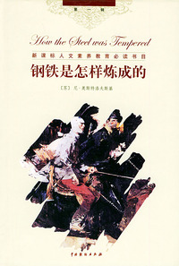 世界文学名著经典译林（第一辑）：钢铁是怎样炼成的（精装）