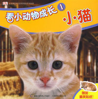 看小动物成长1：小猫