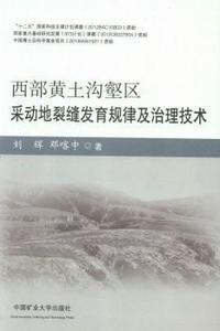 西部黄土沟壑区采动地裂缝发育规律及治理技术
