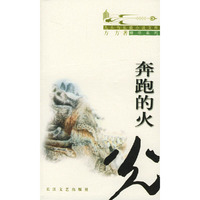 奔跑的火光-九头鸟长篇小说文库.袖珍系列