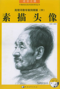 素描头像——高银河教学案例精解（中）（附VCD光盘一张）