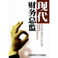 现代财务总监