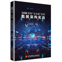 SOD框架“企业级”应用数据架构实战