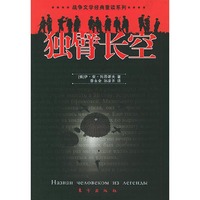 独臂长空——战争文学经典重读系列