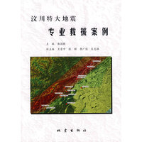 汶川特大地震专业救援案例
