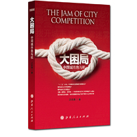 大困局：中国城市危与机