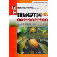图说柑橘病虫害及农药减施增效防控技术(社级市场书)