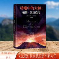 晨曦中的大师 彼得汉德克传
