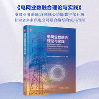 电网业数融合理论与实践   甘肃同兴智能科技发展有限责任公司   电力管理 电力零售 数字化转型