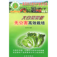 大白菜菜薹无公害高效栽培/蔬菜无公害生产技术丛书