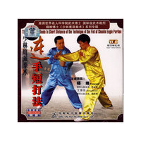 连手短打法少林鹰派拳术(VCD)