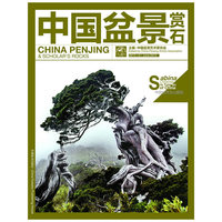 2013-6-中国盆景赏石