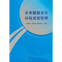 企业健康安全环境系统管理