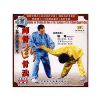 卸骨断骨法少林鹰派拳术(VCD)
