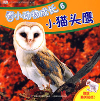 看小动物成长6：小猫头鹰