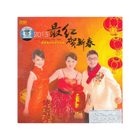 DSD最红贺新春2013(CD)