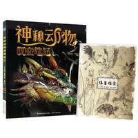 神秘动物调查笔记