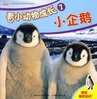 看小动物成长7：小企鹅