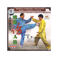 暗箭伤人法少林鹰派拳术(VCD)