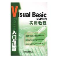 Visual Basic中文版入门与提高实用教程