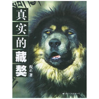 真实的藏獒