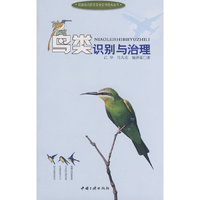 鸟类识别与治理/机场鸟击防灾安全应用技术丛书(机场鸟击防灾安全应用技术丛书)