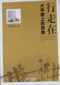 行走在大平原上的思索